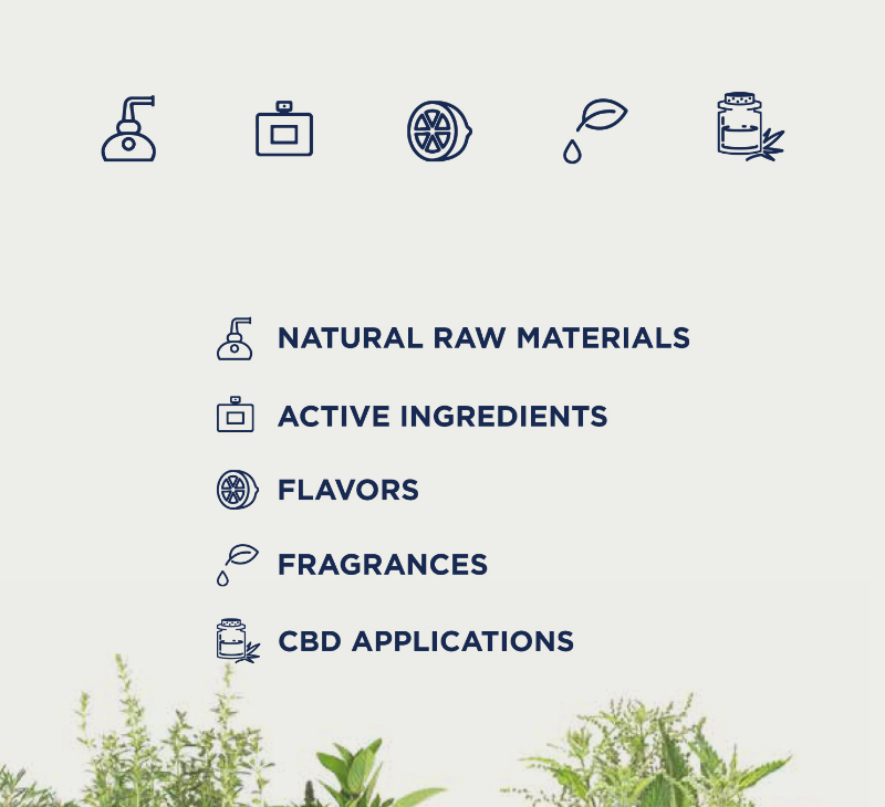 GRO_Robertet_Portfolio_2